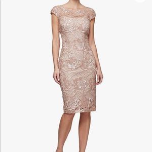 Alex Evenings Women's Midi Length Embroidered Dress